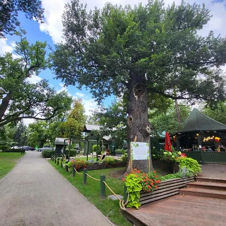 Aquarius Kilinskiego Szafir * Grodzisk Mazowiecki